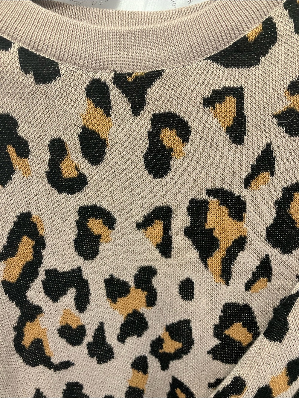 Leopard Print Crewneck Pullover in Beige